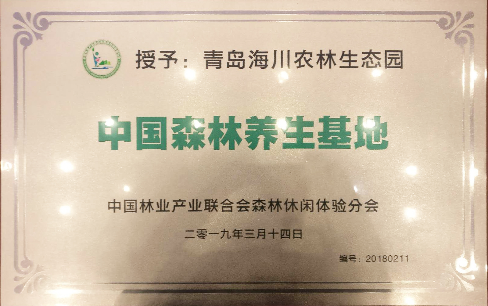 1554341735212921pB2B.jpg 獎(jiǎng)牌.jpg