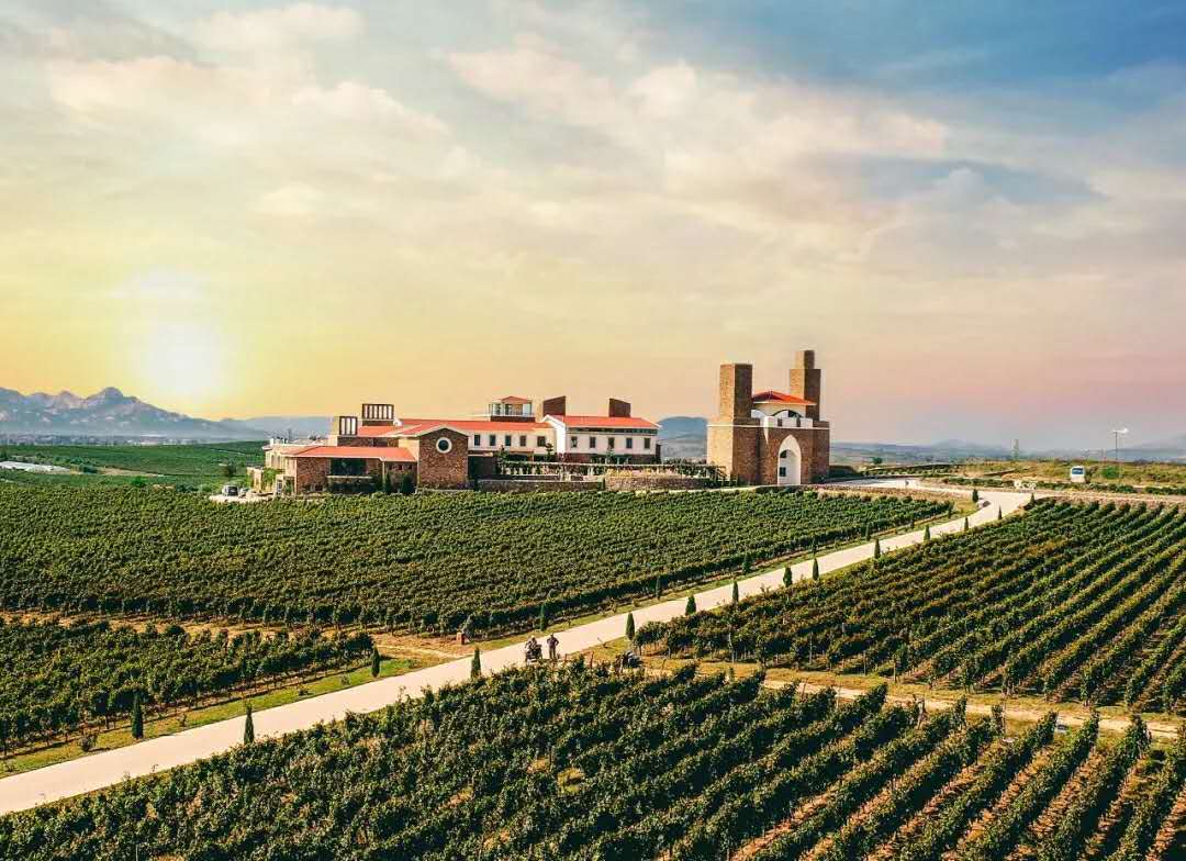 16002380336963831862.jpg 3714558c-ad99-44b9-bcdc-4b35ce759f52.jpg