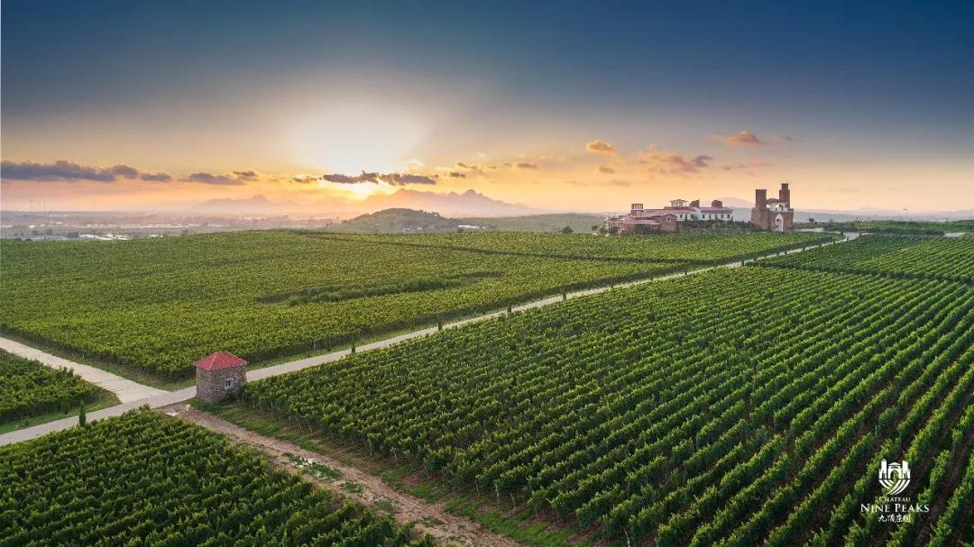 16337667561371591557.jpg 21.jpg