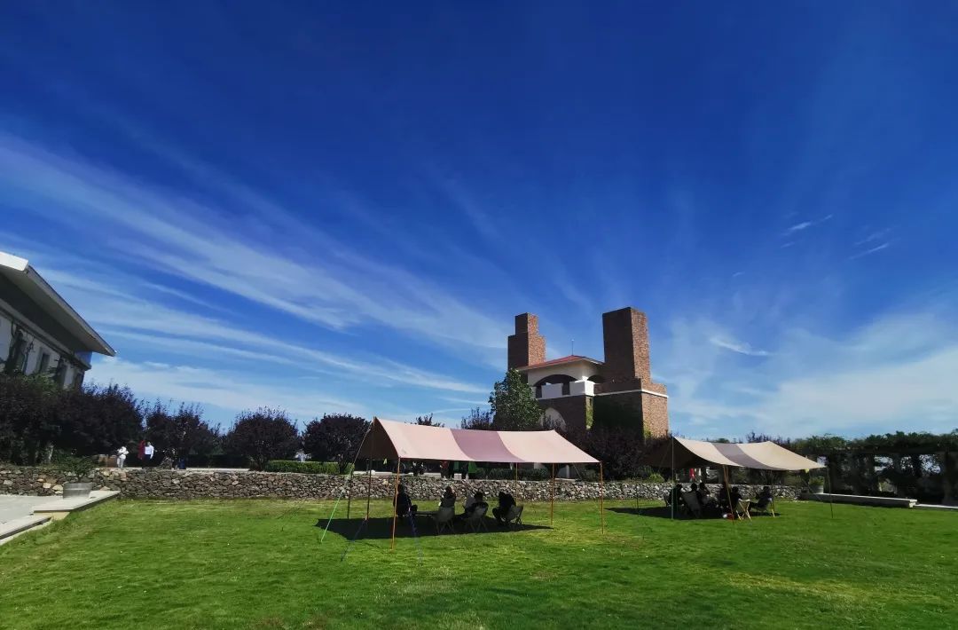 1666583695739673p498.jpg 4.jpg